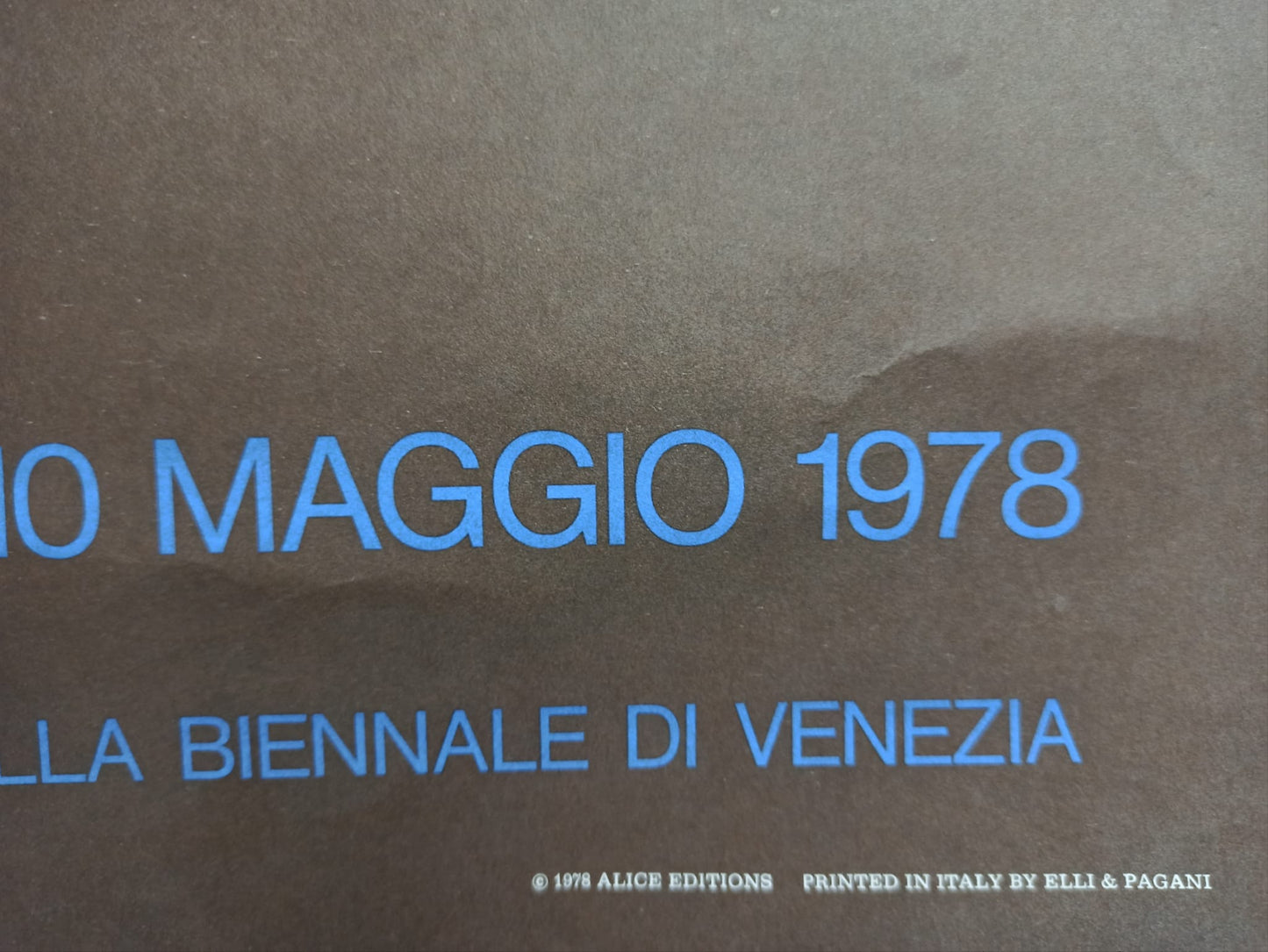 25269037