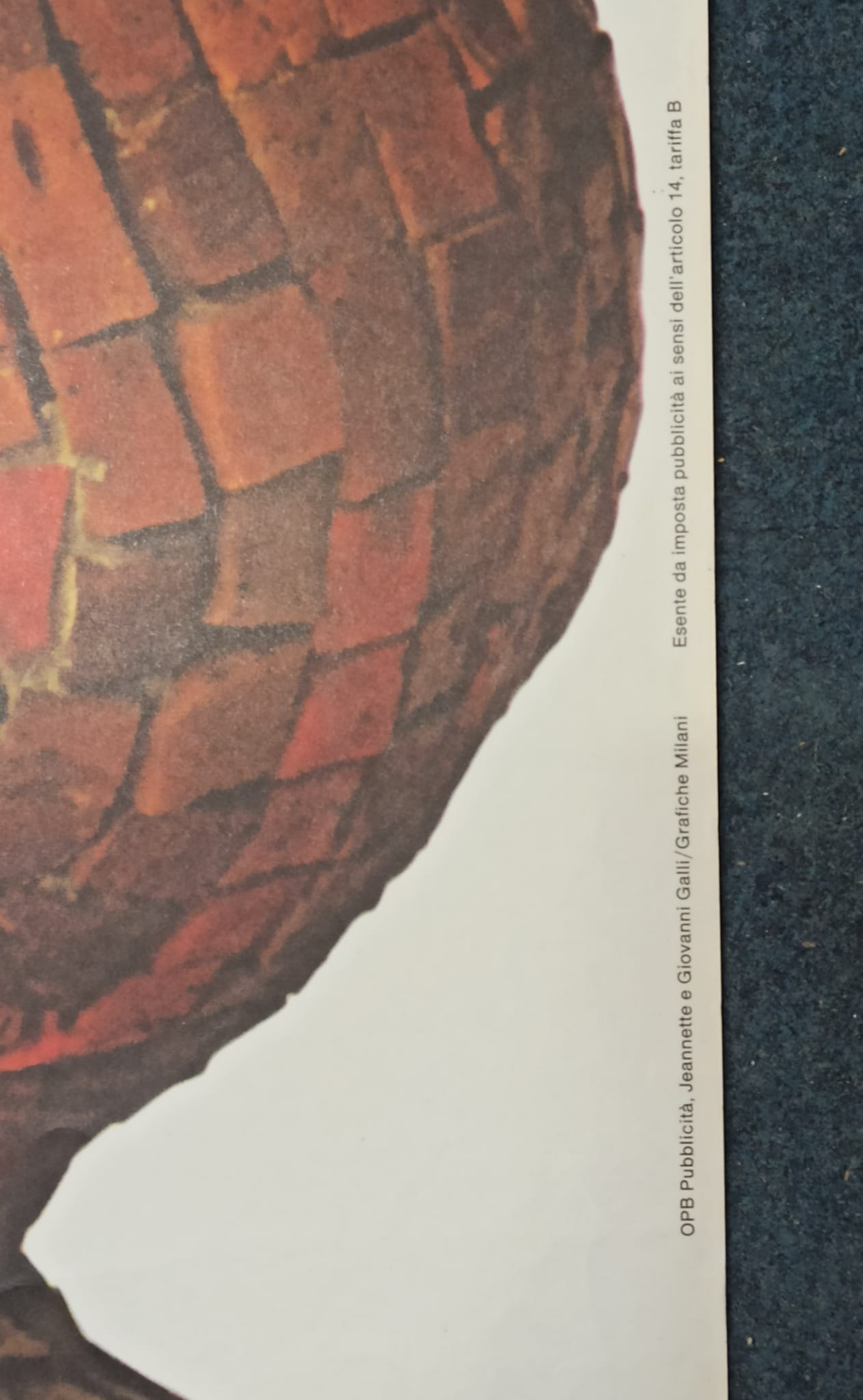 24831538