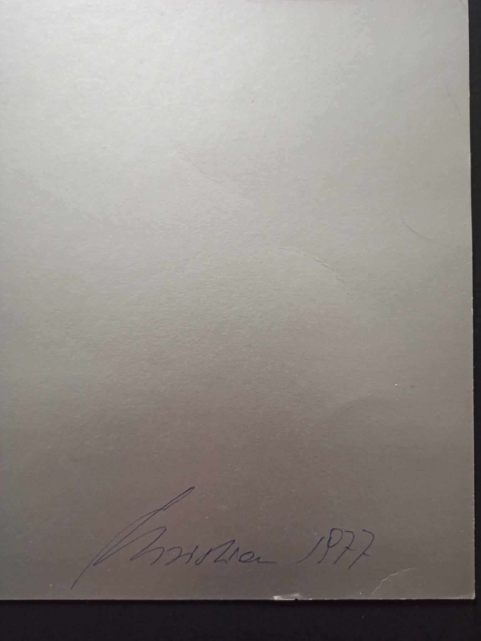 25267251