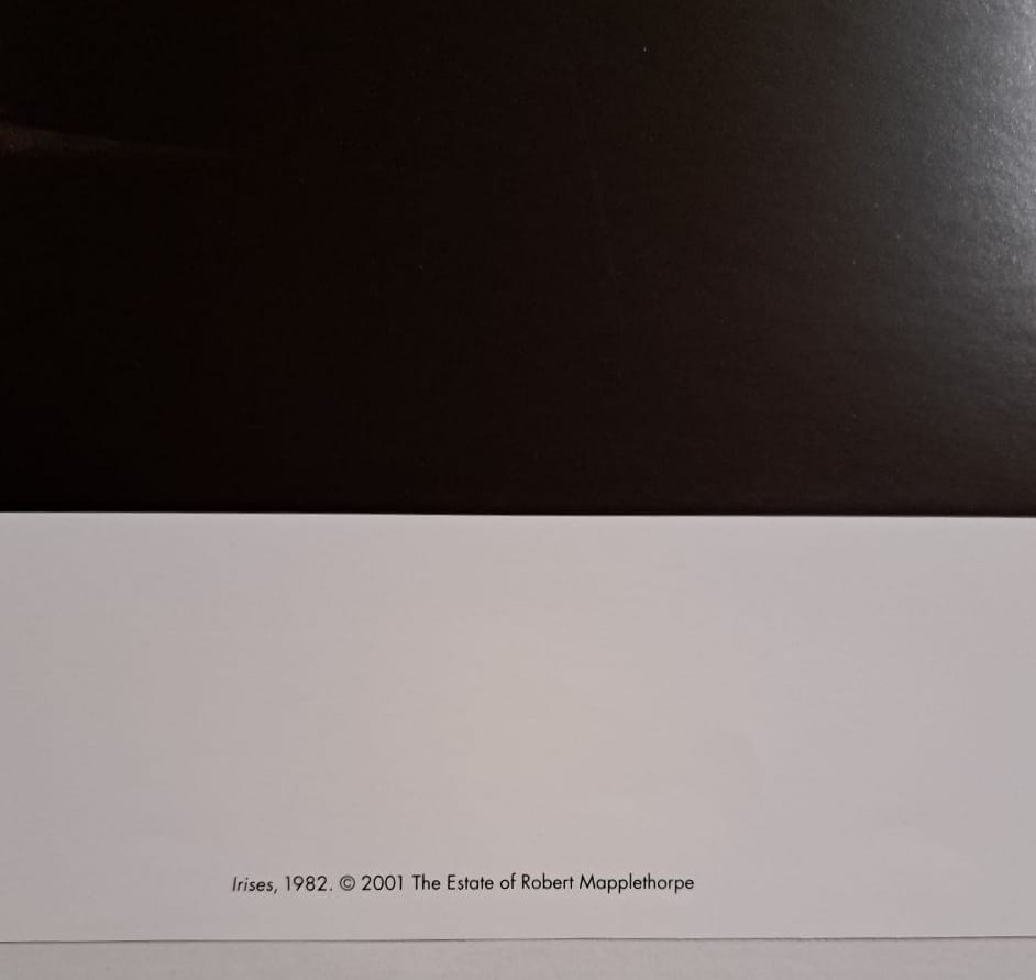 15258768