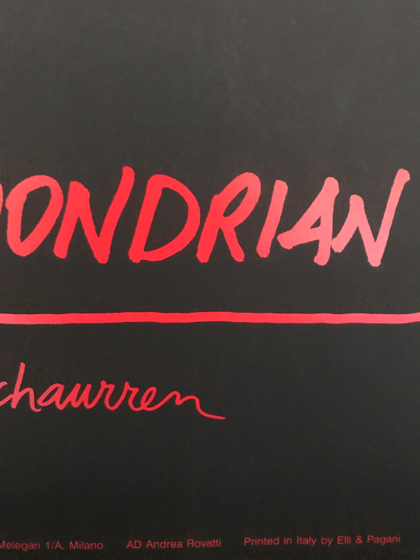 Pablo Echaurren - Crazy Mondrian