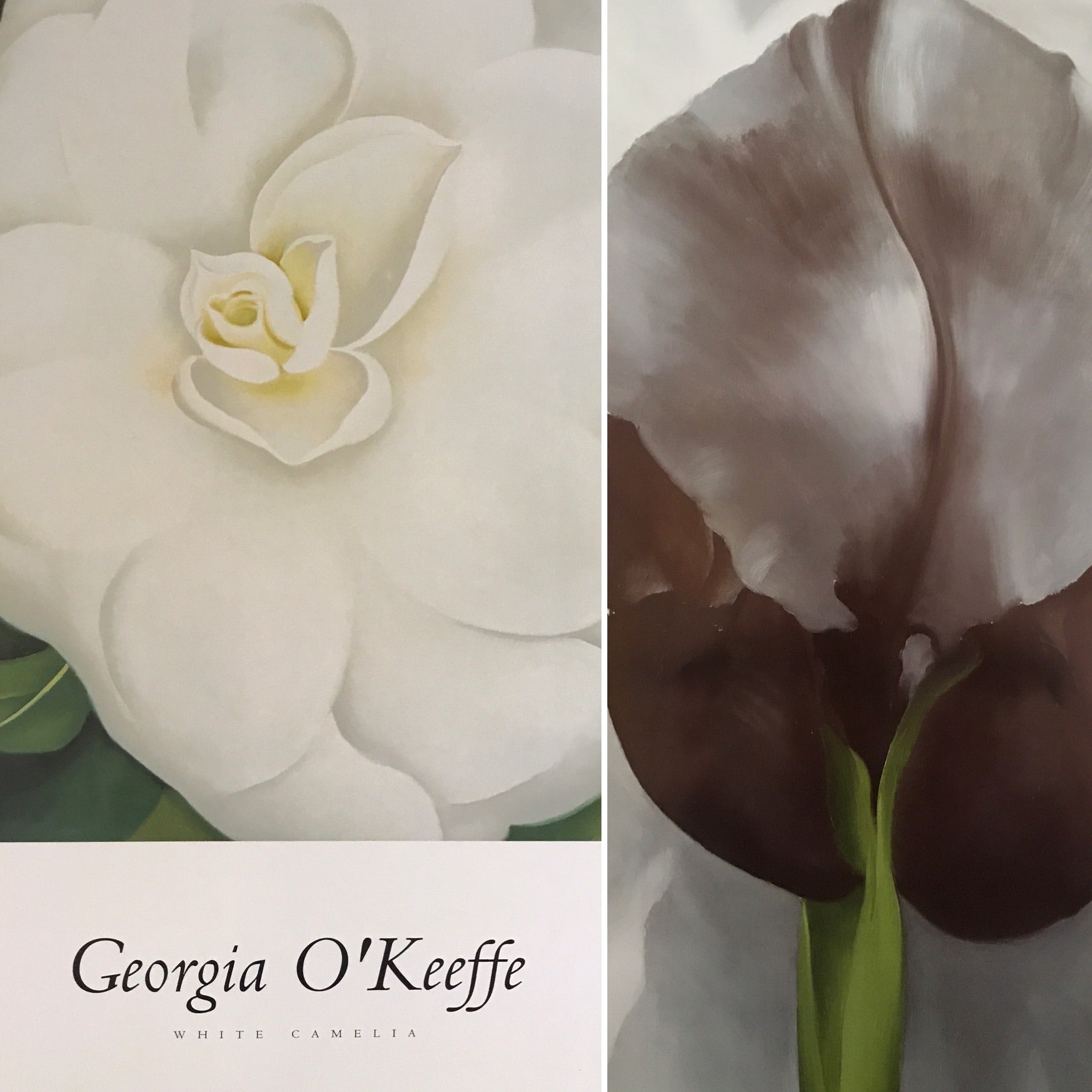 Selezione di poster di Georgia O’Keeffe