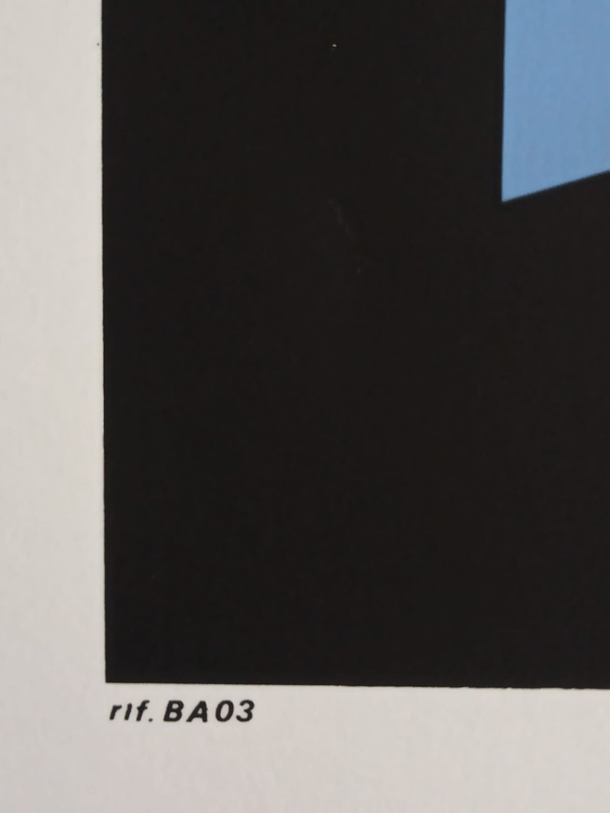 51251119