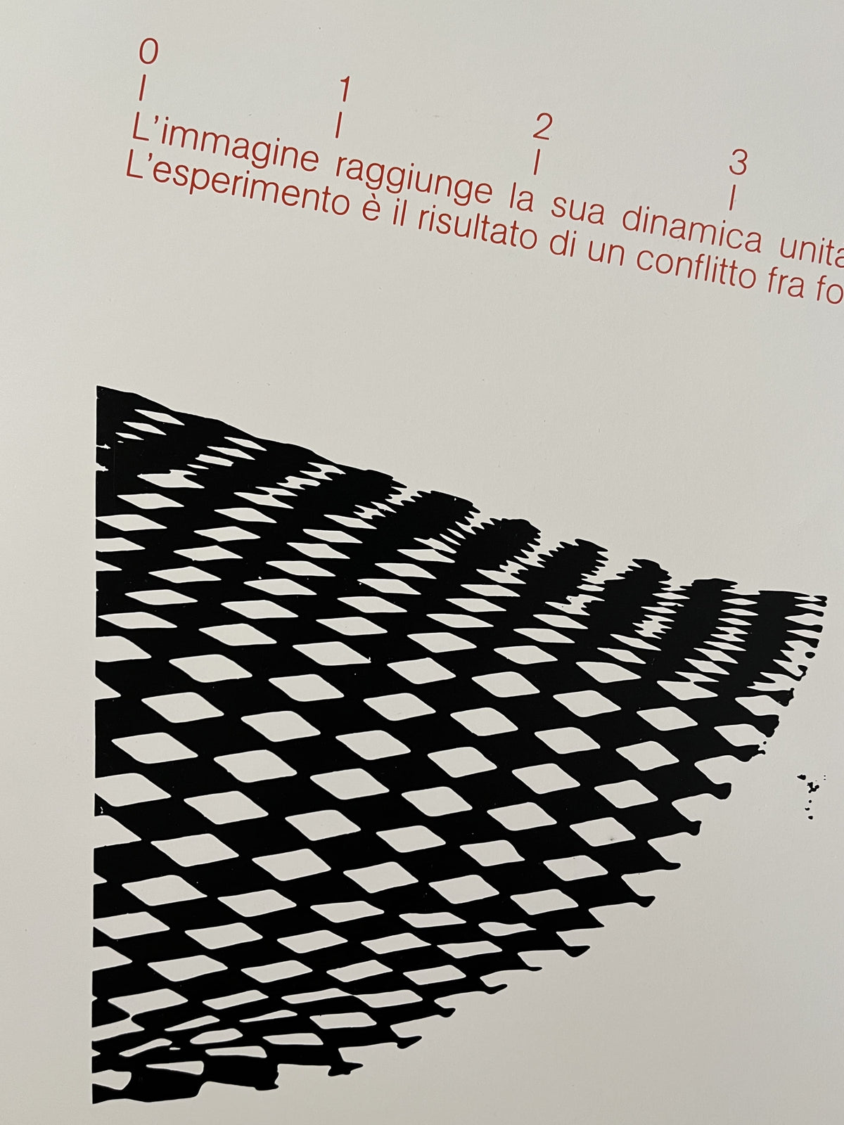 51243324