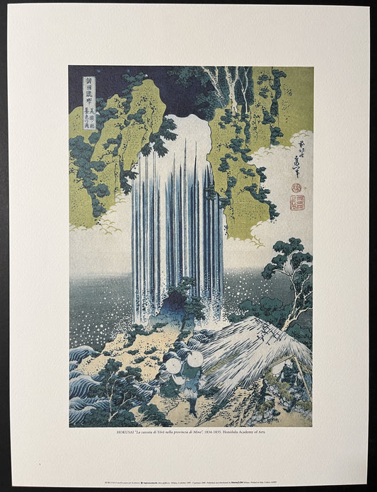 49407577