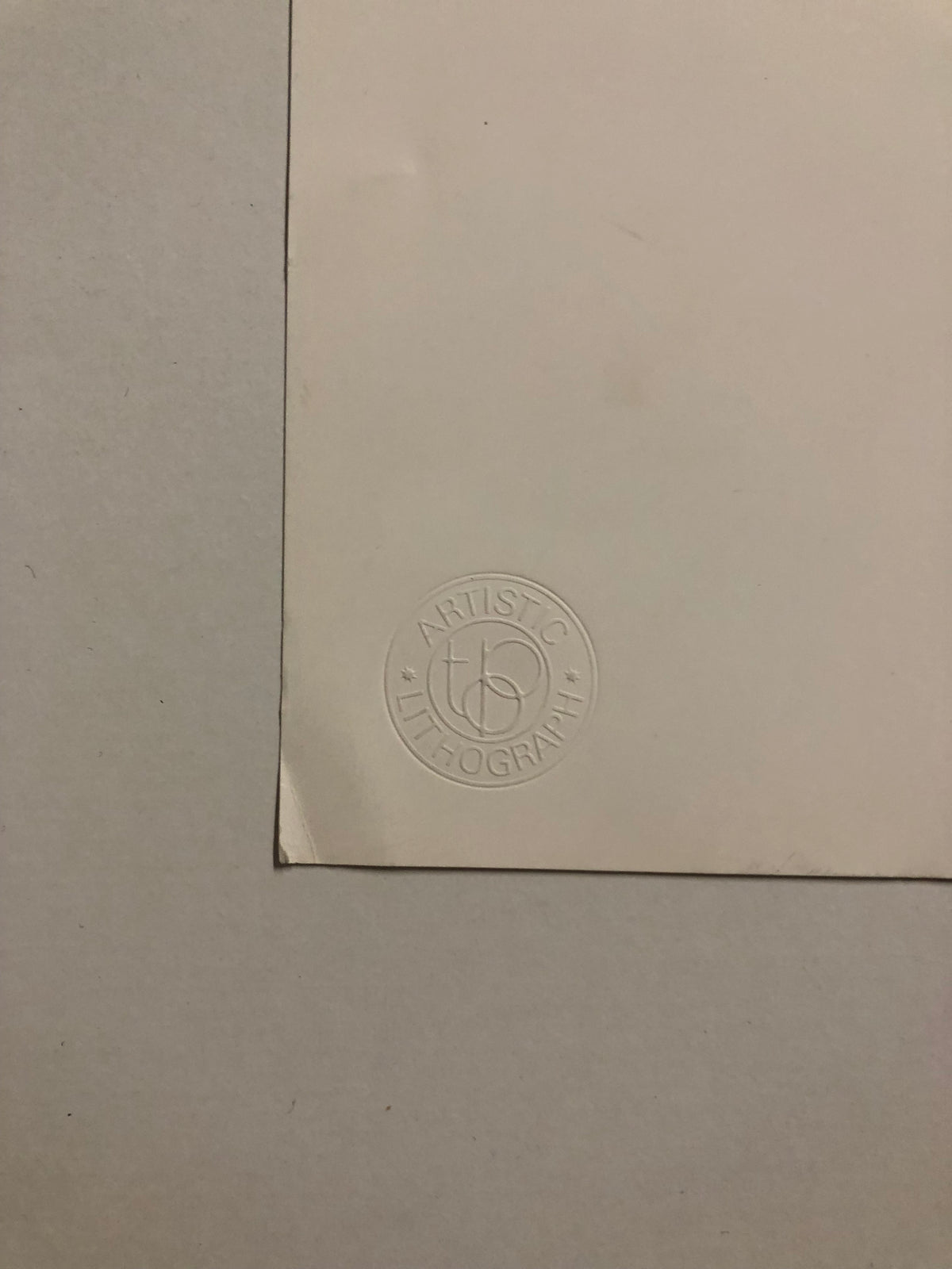 50677731