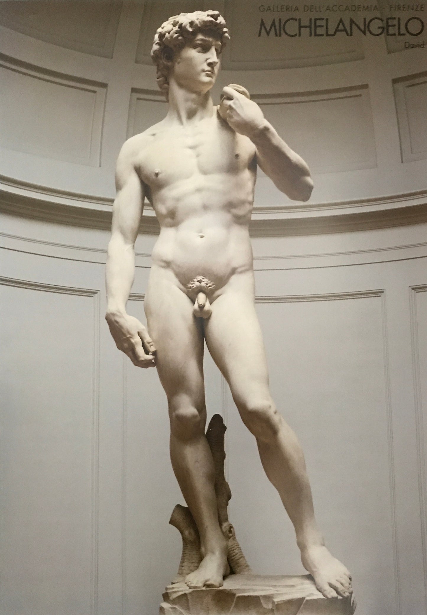 Michelangelo David