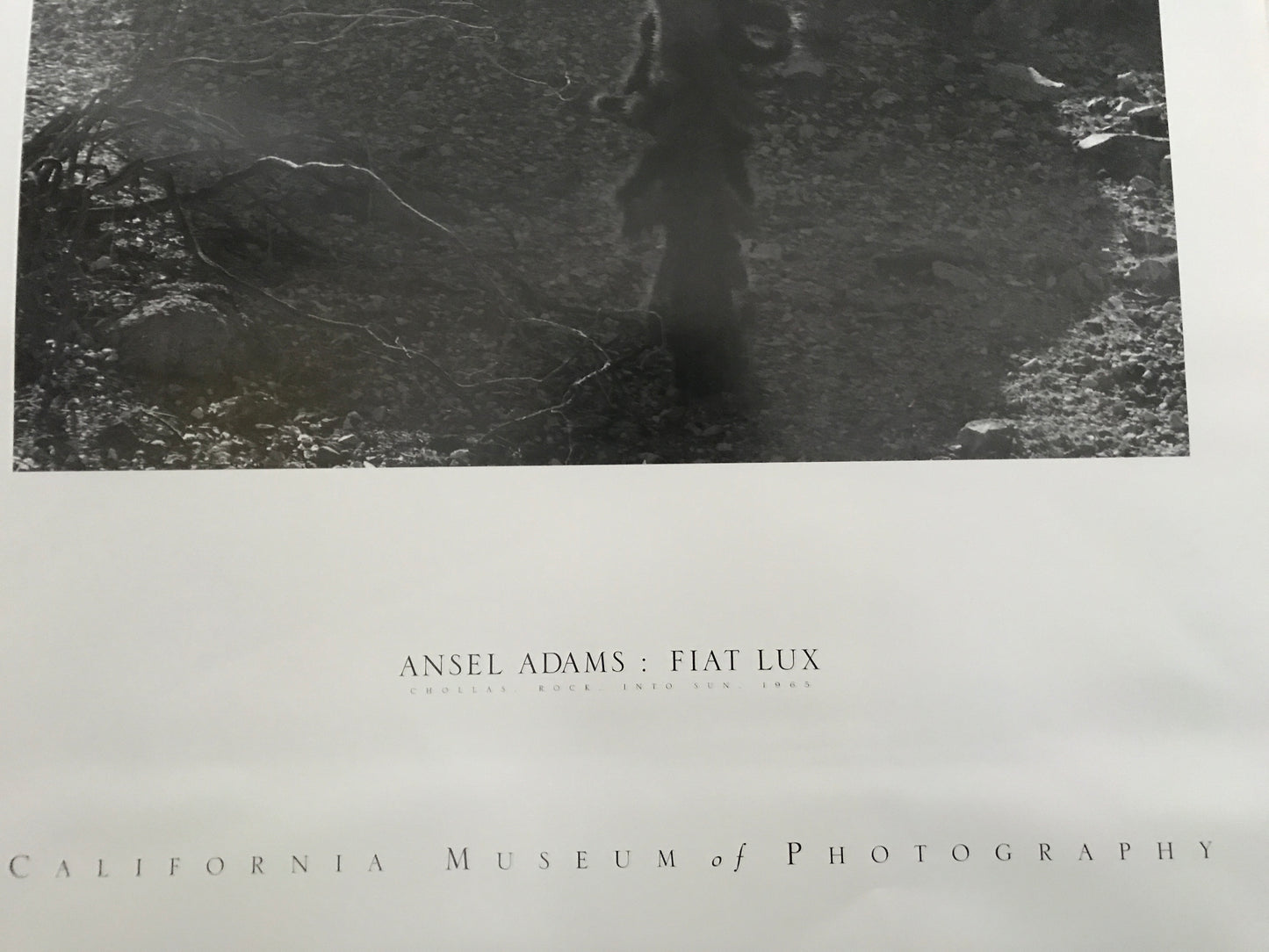 Ansel Adams - Fiat Lux