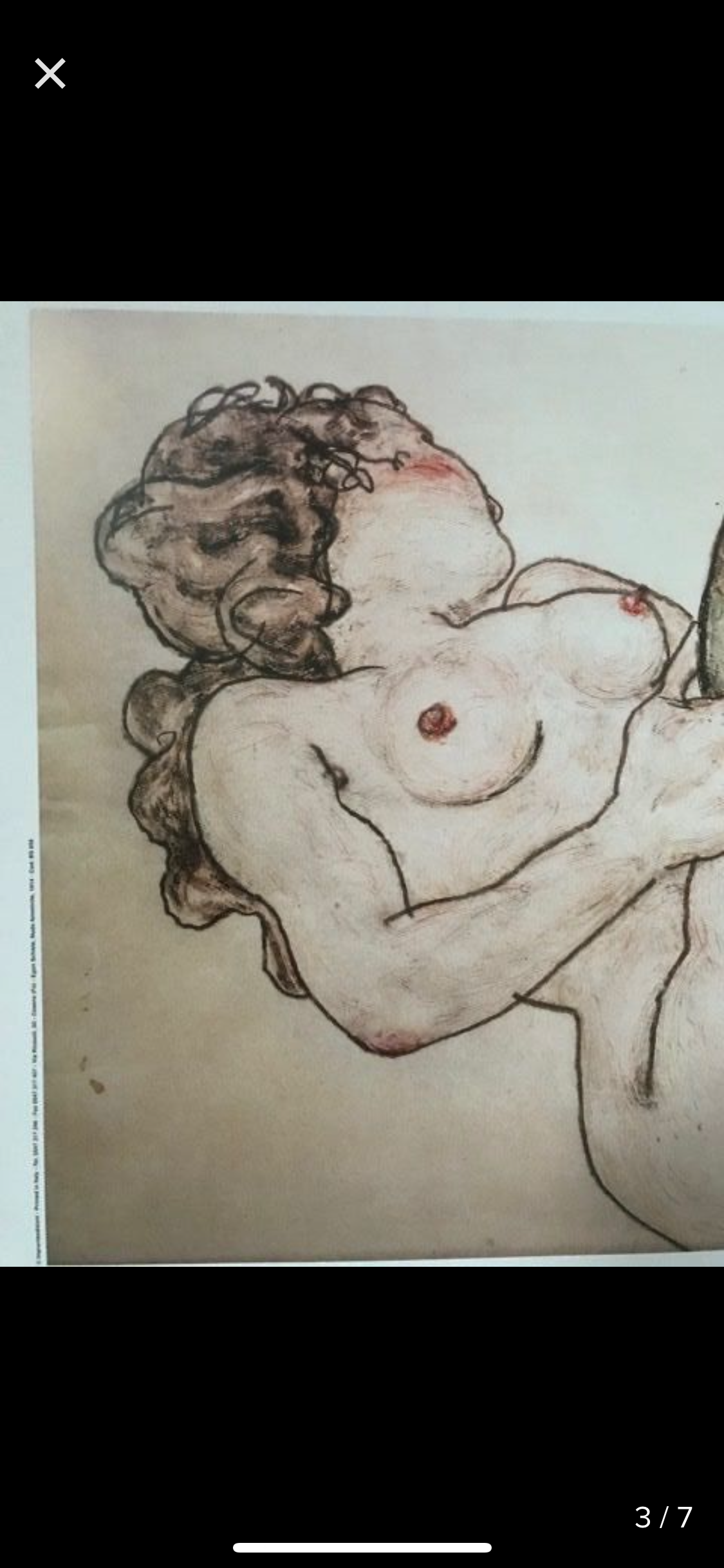 Egon Schiele - Nudo Femminile