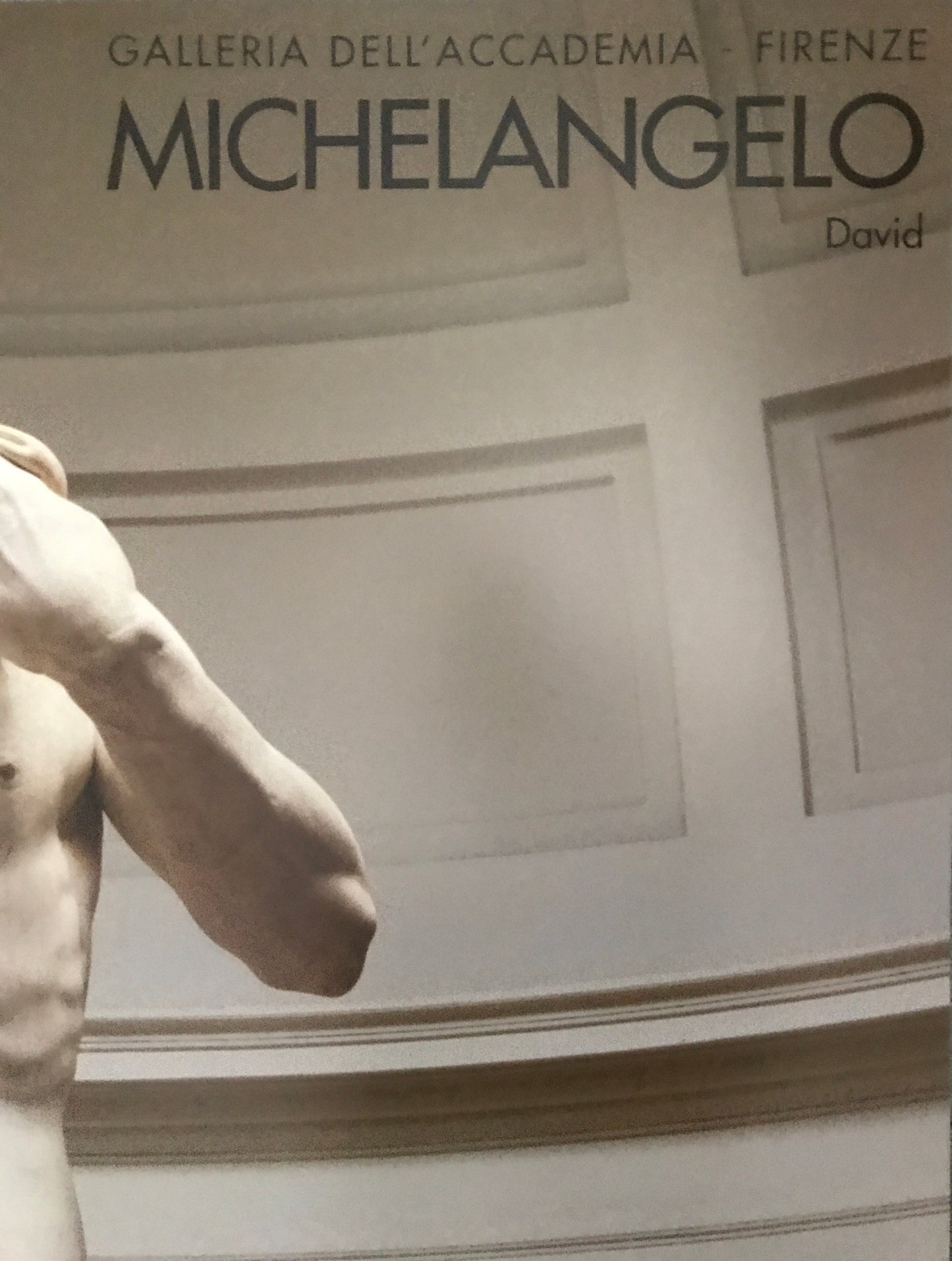 Michelangelo David